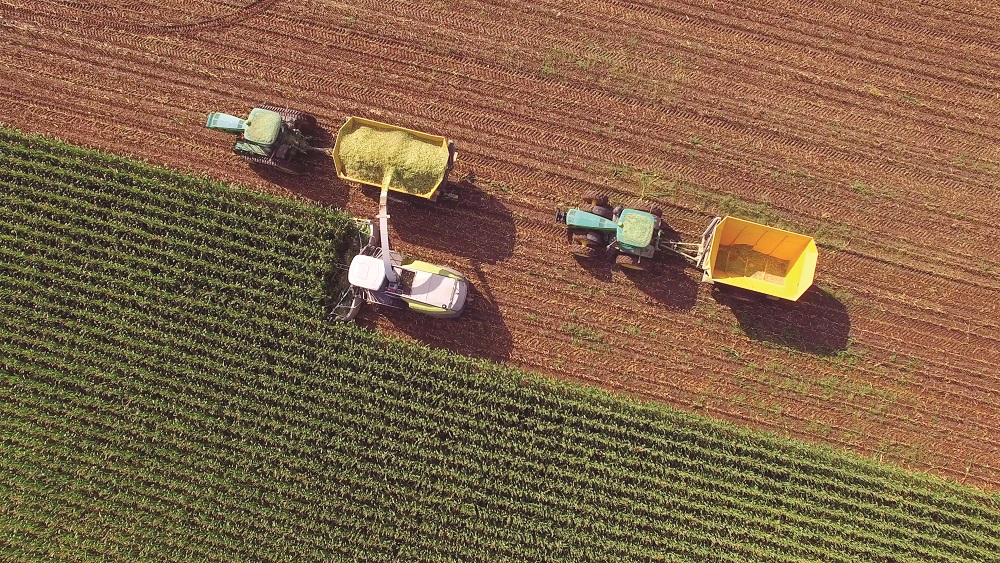 Farm equipment in field harvesting corn